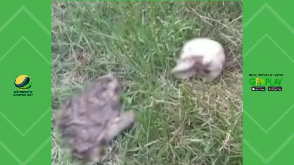 Ossada humana é encontrada às margens de igarapé na zona rural de Santa Luzia do Paruá, no MA