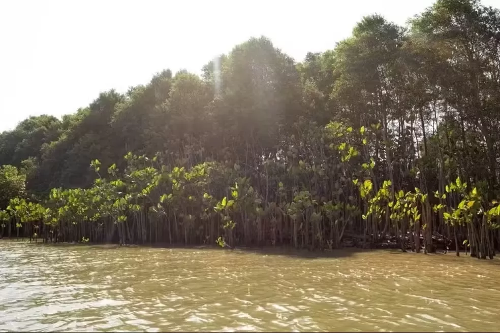 Corpo é resgatado no Rio Parnaíba e pode ser de homem desaparecido no litoral do Piauí