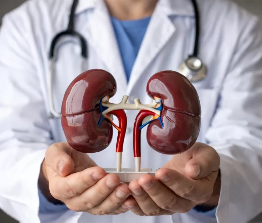 Dia mundial do rim: doença silenciosa resulta em diagnóstico tardio e preocupa especialistas
