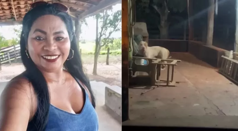 Polícia Civil abre investigação sobre morte de mulher atacada por pitbull em Bacabal