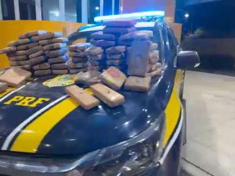 Apreenssão de Skunk